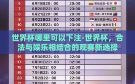 世界杯哪里可以下注-世界杯，合法与娱乐相结合的观赛新选择