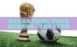 世界杯足球 竞猜网站-世界杯足球的激情挑畔，透视线上竞猜网站的独特魅力