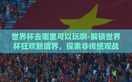 世界杯去哪里可以玩啊-解锁世界杯狂欢新境界，探索非传统观战之地