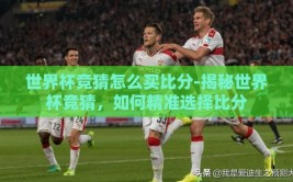 世界杯竞猜怎么买比分-揭秘世界杯竞猜，如何精准选择比分