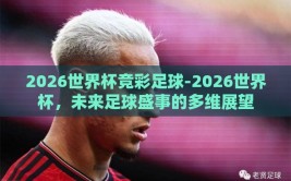 2026世界杯竞彩足球-2026世界杯，未来足球盛事的多维展望