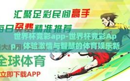 世界杯竞彩app-世界杯竞彩App，体验激情与智慧的体育娱乐新篇章