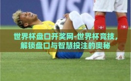 世界杯盘口开奖网-世界杯竞技，解锁盘口与智慧投注的奥秘