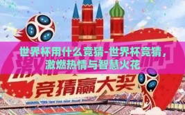世界杯用什么竞猜-世界杯竞猜，激燃热情与智慧火花