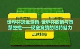 世界杯现金竞猜-世界杯激情与智慧碰撞——现金竞猜的独特魅力
