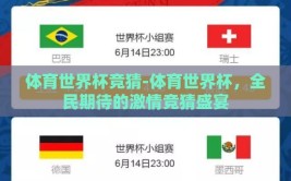 体育世界杯竞猜-体育世界杯，全民期待的激情竞猜盛宴