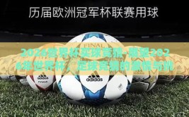 2026世界杯买球竞猜-展望2026年世界杯，足球竞猜的激情与挑战