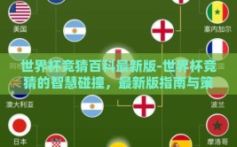 世界杯竞猜百科最新版-世界杯竞猜的智慧碰撞，最新版指南与策略要点