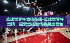 篮球世界杯竞猜在哪-篮球世界杯竞猜，探索竞技激情的另类舞台