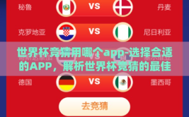 世界杯竞猜用哪个app-选择合适的APP，解析世界杯竞猜的最佳应用
