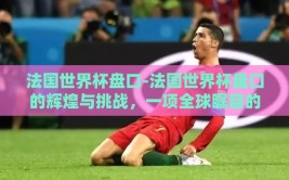 法国世界杯盘口-法国世界杯盘口的辉煌与挑战，一项全球瞩目的体育盛宴揭秘