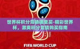 世界杯积分竞猜哪里买-精彩世界杯，激爽积分竞猜购买指南