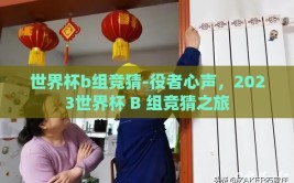 世界杯b组竞猜-役者心声，2023世界杯 B 组竞猜之旅