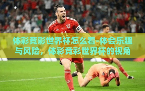 体彩竞彩世界杯怎么看-体会乐趣与风险,体彩竞彩世界杯的视角探索 体彩竞彩世界杯怎么看-体会乐趣与风险,体彩竞彩世界杯的视角探索