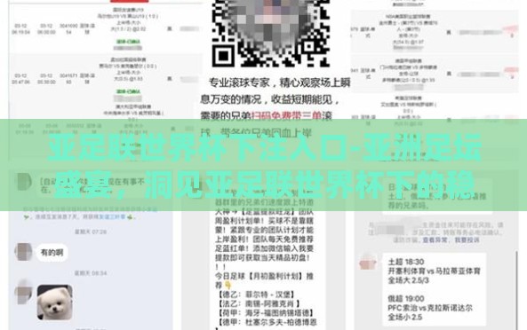 亚足联世界杯下注入口-亚洲足坛盛宴，洞见亚足联世界杯下的稳健投注平台选择