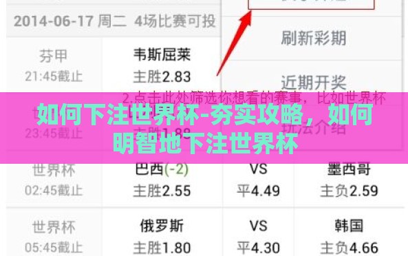 如何下注世界杯-夯实攻略,如何明智地下注世界杯 如何下注世界杯-夯实攻略,如何明智地下注世界杯