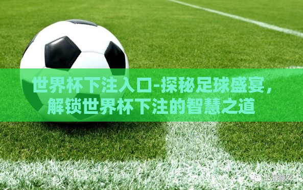 世界杯下注入口-探秘足球盛宴,解锁世界杯下注的智慧之道 世界杯下注入口-探秘足球盛宴,解锁世界杯下注的智慧之道