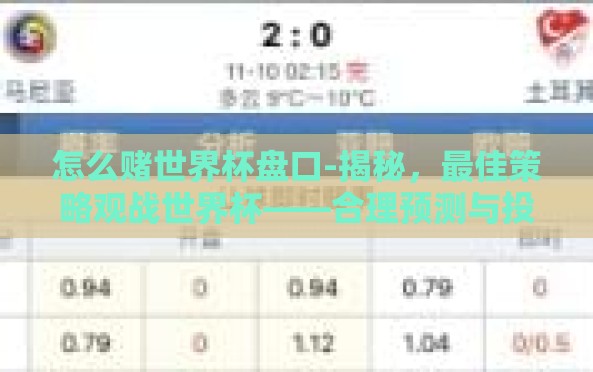 怎么赌世界杯盘口-揭秘,最佳策略观战世界杯——合理预测与投注解析 怎么赌世界杯盘口-揭秘,最佳策略观战世界杯——合理预测与投注解析