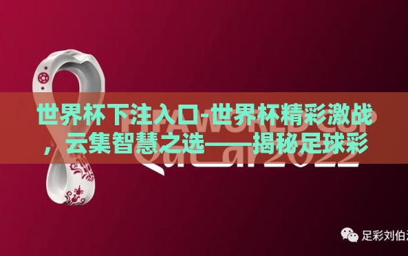 世界杯下注入口-世界杯精彩激战，云集智慧之选——揭秘足球彩票下注的正确途径