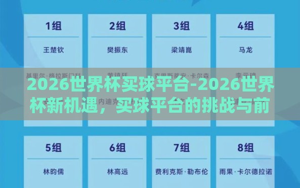 2026世界杯买球平台-2026世界杯新机遇，买球平台的挑战与前景