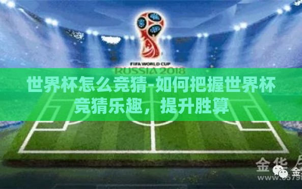 世界杯怎么竞猜-如何把握世界杯竞猜乐趣,提升胜算 世界杯怎么竞猜-如何把握世界杯竞猜乐趣,提升胜算