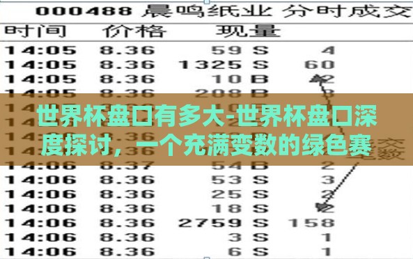 世界杯盘口有多大-世界杯盘口深度探讨，一个充满变数的绿色赛场