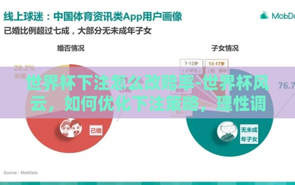 世界杯下注怎么改赔率-世界杯风云,如何优化下注策略,理性调整赔率助您赢取胜利 世界杯下注怎么改赔率-世界杯风云,如何优化下注策略,理性调整赔率助您赢取胜利