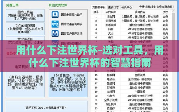 用什么下注世界杯-选对工具，用什么下注世界杯的智慧指南