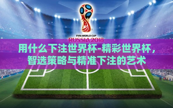 用什么下注世界杯-精彩世界杯，智选策略与精准下注的艺术