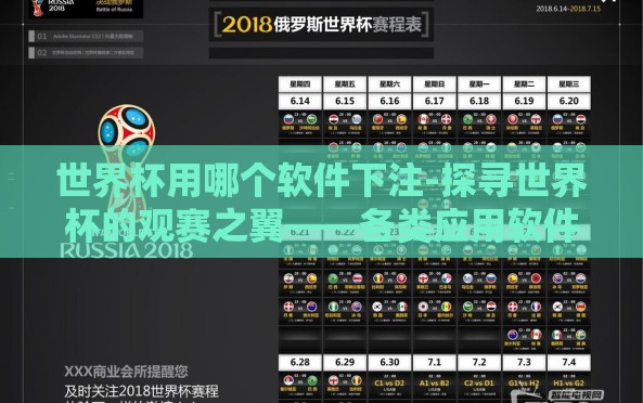 世界杯用哪个软件下注-探寻世界杯的观赛之翼——各类应用软件对比与选择 世界杯用哪个软件下注-探寻世界杯的观赛之翼——各类应用软件对比与选择