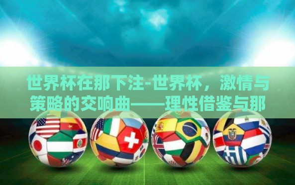 世界杯在那下注-世界杯，激情与策略的交响曲——理性借鉴与那下注的艺术