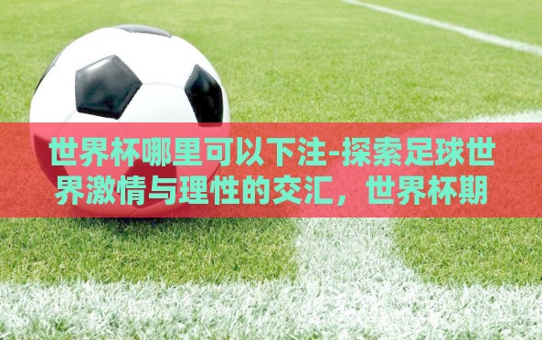 世界杯哪里可以下注-探索足球世界激情与理性的交汇，世界杯期间的下注渠道解析
