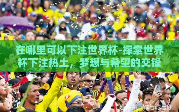 在哪里可以下注世界杯-探索世界杯下注热土，梦想与希望的交锋之地