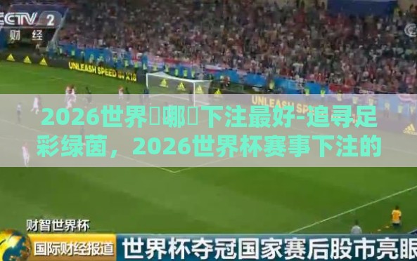 2026世界盃哪裡下注最好-追寻足彩绿茵,2026世界杯赛事下注的智慧与考量 2026世界盃哪裡下注最好-追寻足彩绿茵,2026世界杯赛事下注的智慧与考量
