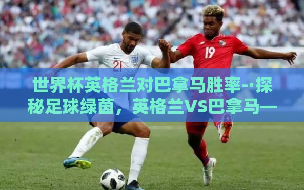 世界杯英格兰对巴拿马胜率-·探秘足球绿茵,英格兰VS巴拿马——世界杯对决的悬念与期待 世界杯英格兰对巴拿马胜率-·探秘足球绿茵,英格兰VS巴拿马——世界杯对决的悬念与期待