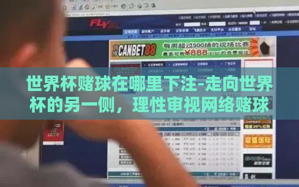 世界杯赌球在哪里下注-走向世界杯的另一侧，理性审视网络赌球的潜在风险