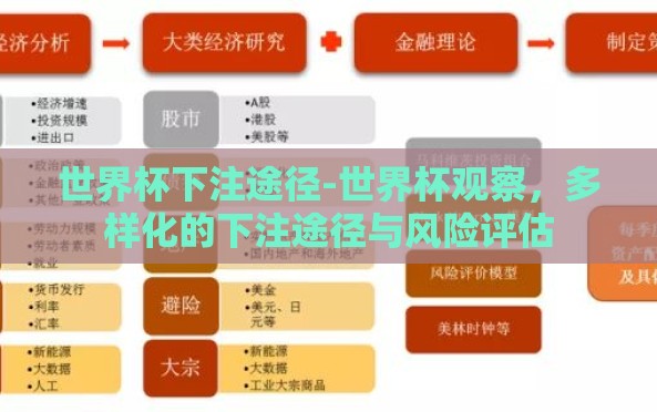 世界杯下注途径-世界杯观察，多样化的下注途径与风险评估