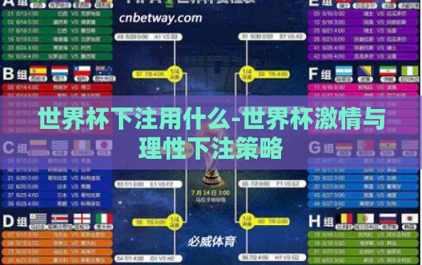世界杯下注用什么-世界杯激情与理性下注策略