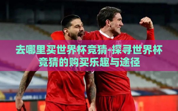 去哪里买世界杯竞猜-探寻世界杯竞猜的购买乐趣与途径