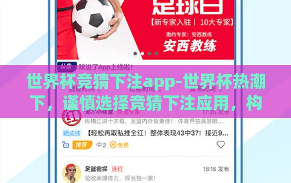 世界杯竞猜下注app-世界杯热潮下，谨慎选择竞猜下注应用，构建理性观赛与娱乐的平衡